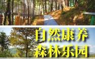 平江县森林康养产业蓬勃发展，年创收5亿助力3万林农脱贫致富